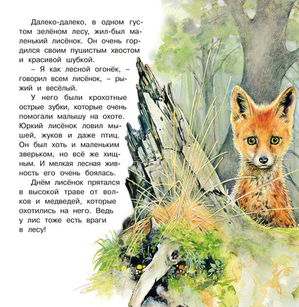 Приключения лисенка Printed books Фламинго