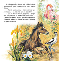 Приключения жеребенка Printed books Фламинго