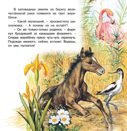 Приключения жеребенка Printed books Фламинго