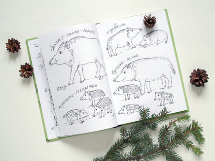 Про Кабанов Бобров и выхухолей Printed books Белая Ворона