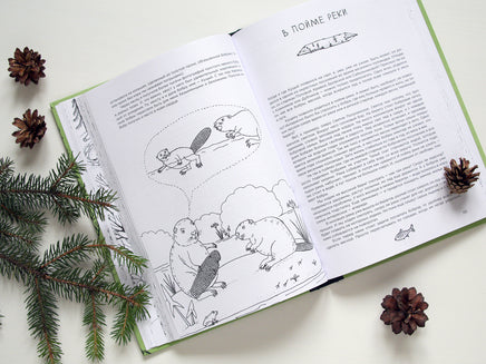 Про Кабанов Бобров и выхухолей Printed books Белая Ворона