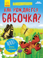 Моя первая энциклопедия: Как рождается бабочка? (рус) Printed books Ранок
