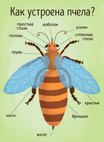 Моя первая энциклопедия: Как получается мёд? (рус) Printed books Ранок