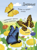 Моя первая энциклопедия: Как рождается бабочка? (рус) Printed books Ранок