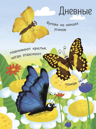 Моя первая энциклопедия: Как рождается бабочка? (рус) Printed books Ранок