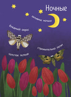 Моя первая энциклопедия: Как рождается бабочка? (рус) Printed books Ранок