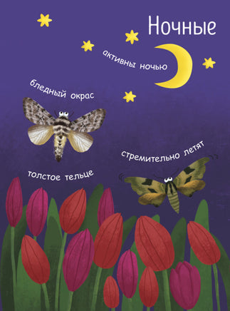 Моя первая энциклопедия: Как рождается бабочка? (рус) Printed books Ранок