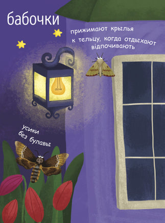 Моя первая энциклопедия: Как рождается бабочка? (рус) Printed books Ранок