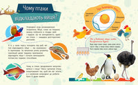 Чомусики : Тварини (у) Printed books Ранок