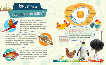 Чомусики : Тварини (у) Printed books Ранок