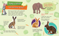 Чомусики : Тварини (у) Printed books Ранок