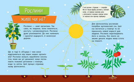 Чомусики : Рослини (у) Printed books Ранок