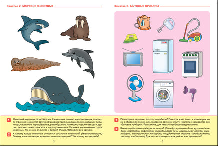 Большая рабочая тетрадь. Развитие речи в детском саду и дома. 6-7 лет. ФГОС Printed books Мозаика-Синтез