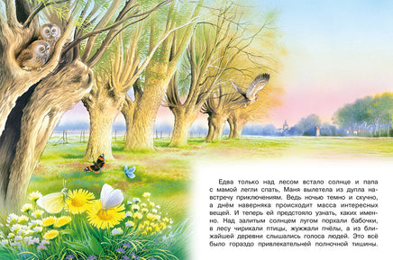 Приключения совы и её друзей Printed books Фламинго