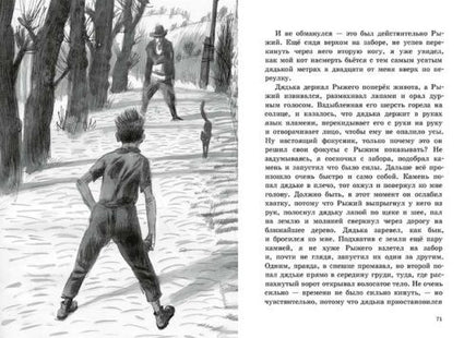 Рыжий Printed books Мелик Пашаев