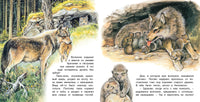 Приключения волчонка Printed books Фламинго