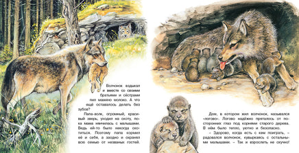 Приключения волчонка Printed books Фламинго