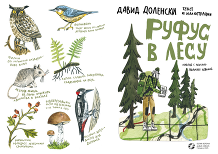 Руфус в лесу. Давид Доленски Printed books Белая Ворона