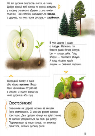 Енциклопедія дошкільника (нова) : Природа (у) Printed books Ранок