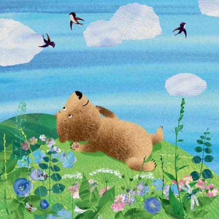 Світ навколо мене : Дивовижні відкриття ведмедика Санні на морі (у) Printed books Ранок