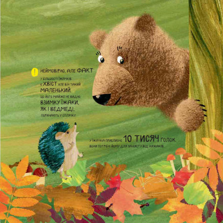 Світ навколо мене : Дивовижні відкриття ведмедика Санні на морі (у) Printed books Ранок