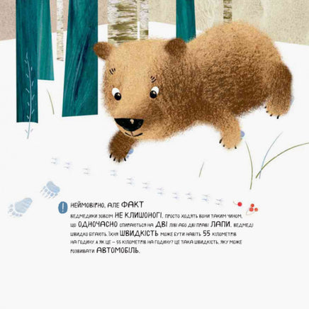 Світ навколо мене : Дивовижні відкриття ведмедика Санні на морі (у) Printed books Ранок