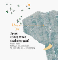 Наталия Чуб. О чем думает слон? (рус) Printed books Ранок