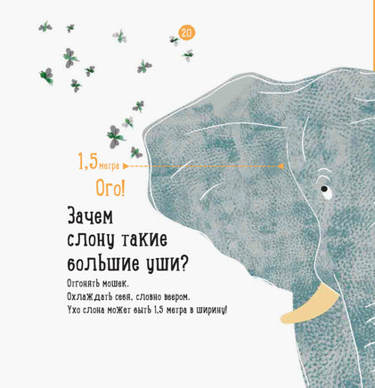Наталия Чуб. О чем думает слон? (рус) Printed books Ранок