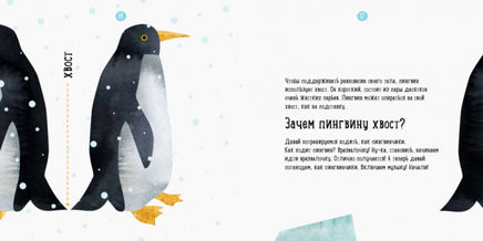 Професор карапуз : Де живе пінгвін? (у) Printed books Ранок