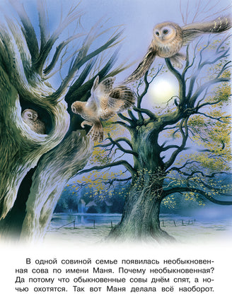 Приключения совы и её друзей Printed books Фламинго