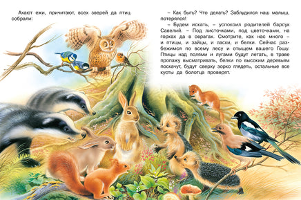 Лесной переполох Printed books Фламинго