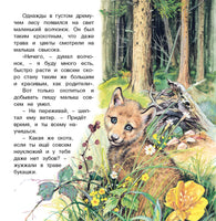Приключения волчонка Printed books Фламинго
