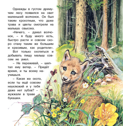 Приключения волчонка Printed books Фламинго