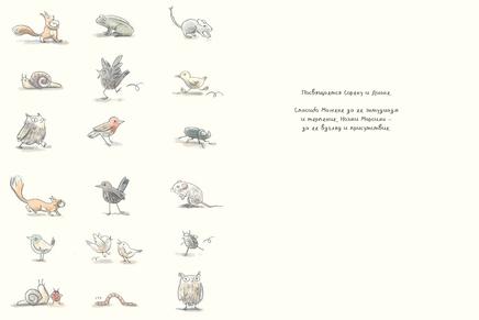 Удивленная сова. Мажена Сова Printed books Белая Ворона