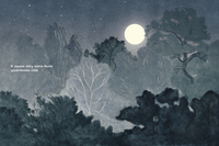 Удивленная сова. Мажена Сова Printed books Белая Ворона