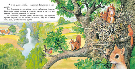 Приключения бельчонка Printed books Фламинго