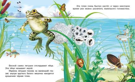 Как появляется лягушка Printed books Фламинго