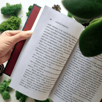 Выходи гулять! Путешествие по дворам нашего детства Printed books Эксмо