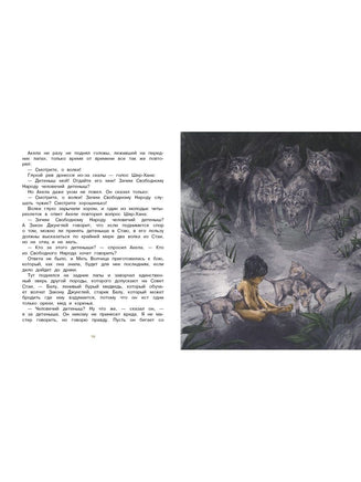 Маугли. Серия 100 лучших книг Printed books СТРЕКОЗА