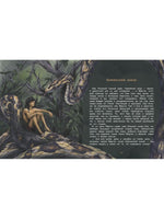 Маугли. Серия 100 лучших книг Printed books СТРЕКОЗА