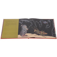 Мышкины страхи. Р. Шами Printed books Редкая Птица