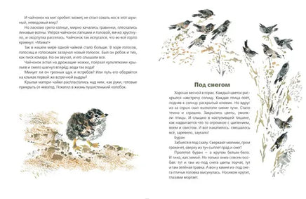 С днем рождения! Сладков Николай Иванович Printed books Речь
