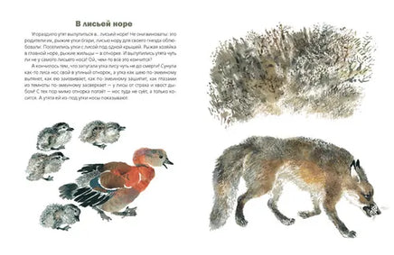 С днем рождения! Сладков Николай Иванович Printed books Речь