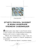 Сказки и мифы Северной Америки Вилли Винки