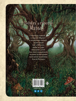 О гномах и сиротке Марысе Вилли Винки