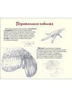 Петух и Ко. Н.М. Габеева Printed books Редкая Птица