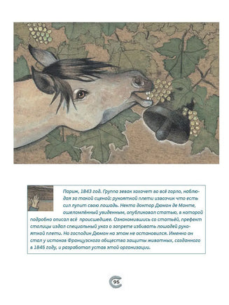 Сказки о лошадях. Сост. М. Пленар Printed books Редкая Птица