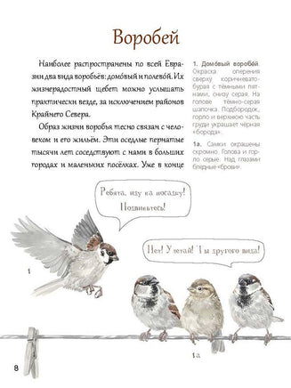 Познавательные истории. Животный мир городов. Printed books BHV