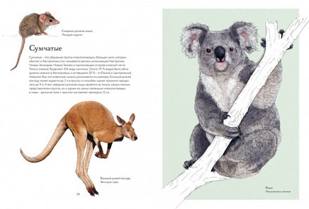 Тайны дикой природы МАХАОН