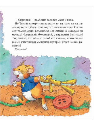 Мышонок Тим. А что вы мне подарите? Printed books Росмэн